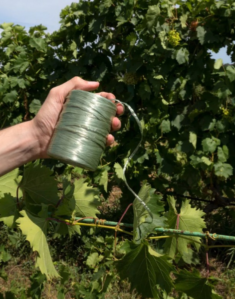 Подвязочный материал RAFIA (0,5кг) Китай