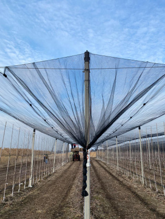 Кольцо оцинкованное для сетки 